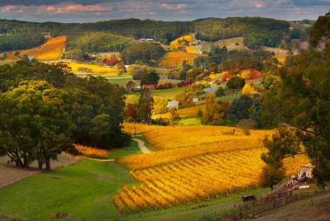 Piccadilly Valley, Adelaide Hills Region, South Australia; Photo credit: http://realestateinthehills.com/the-adelaide-hills/